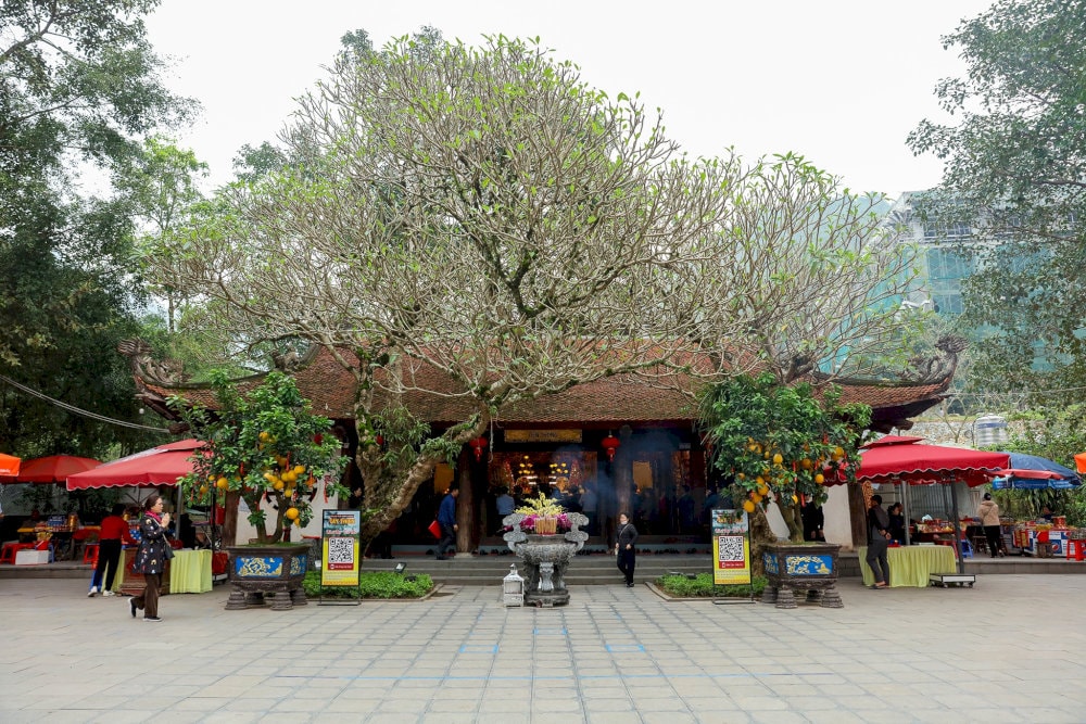 Tận hưởng không gian thanh tịnh